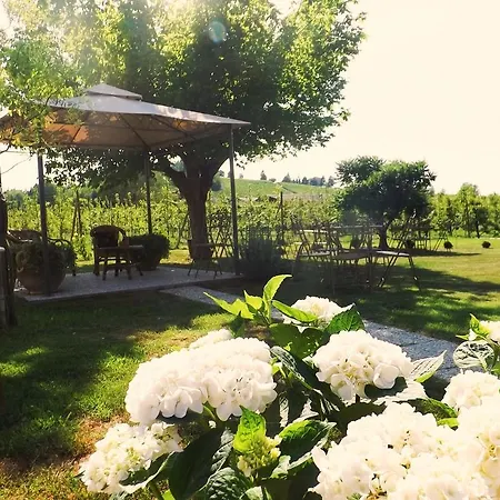 Vakantieboerderij Poderi Sartoris