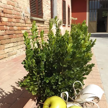 Poderi Sartoris San Marzano Oliveto